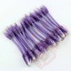 24 Pack of 20cm (8-inch) in Purple - Cat5e High Grade 125MHz 24AWG LSZH Patch Cables for 2U Patching