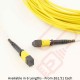 MTP-MTP Type A (KeyUp KeyDown) MPO OS2 12 Core Fibre Trunk Cassette Cable