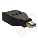 Mini Display Port to Display Port Adapter