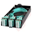 Zettonics LC OM4 Multimode 24 Fibre Splice Cassette Aqua