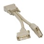 DVI-D Dual Link Male to 2x Female Splitter Video Cable
