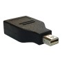 Mini Display Port to Display Port Adapter