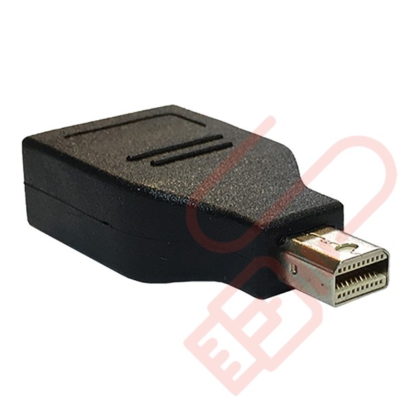 Mini Display Port to Display Port Adapter