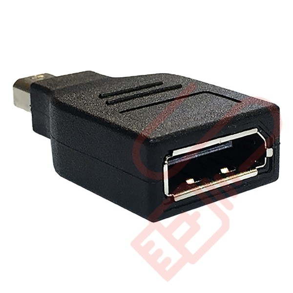 Mini Display Port to Display Port Adapter