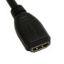 HDMI Module With Pigtail - Networking Cables