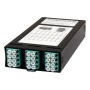 Zettonics LC OM4 Multimode 24 Fibre MTP/MPO Cassette - Networking Cables