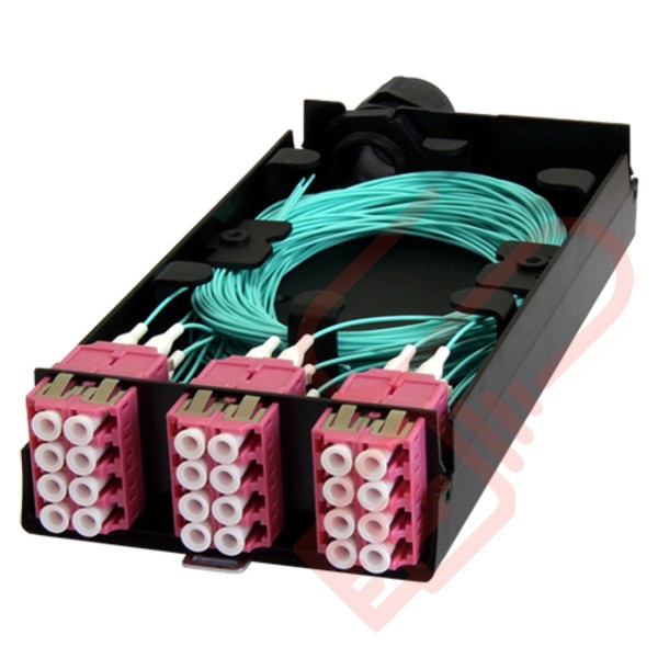 Zettonics LC OM4 Multimode 24 Fibre Splice Cassette Violet - Networking Cables